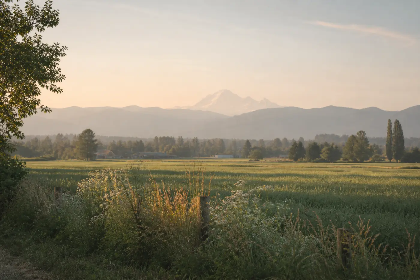 Fields and mountains in the Fraser Valley at dawn